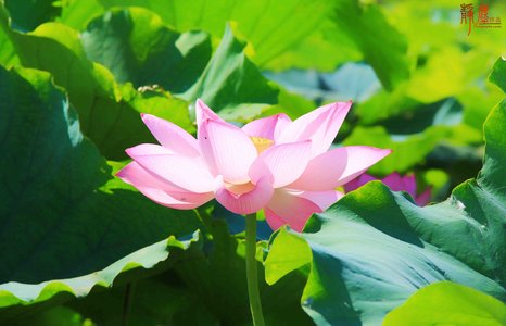 gonggongkongjian
